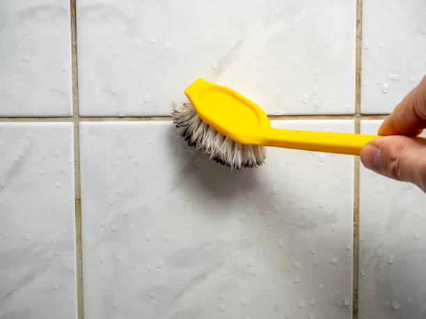 Best Emergency Mold Removal  in Plymouth, WI