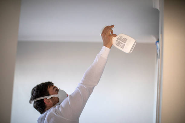 Best Home Mold Removal  in Plymouth, WI