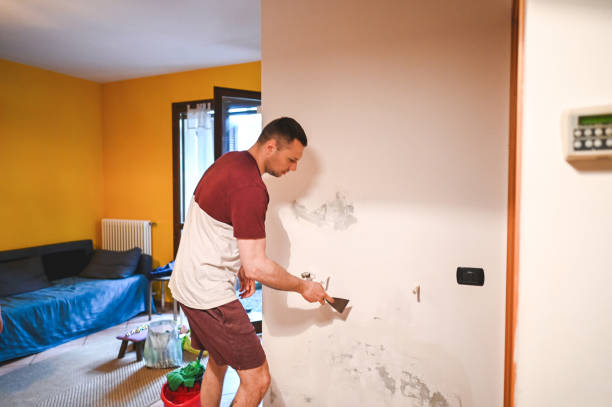 Professional Mold Removal in Plymouth, WI